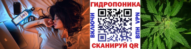 Купить  Шенкурск  Марихуана конопля 